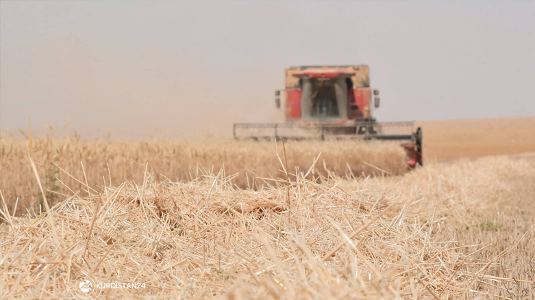 2022 wheat harvest season in Erbil province, Kurdistan Region, May 28, 2022. (Photo: Niyaz Qaraman/Handout to Kurdistan 24)